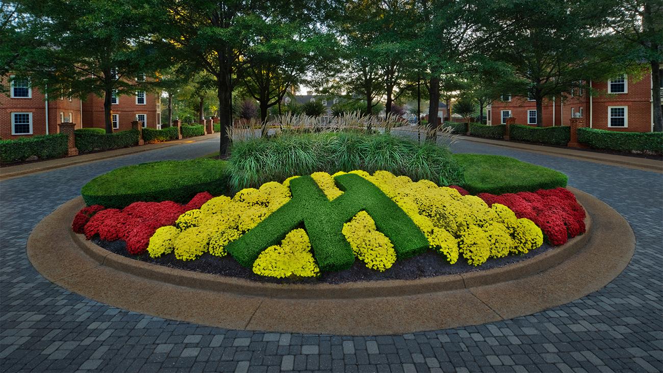 Resort Grounds
